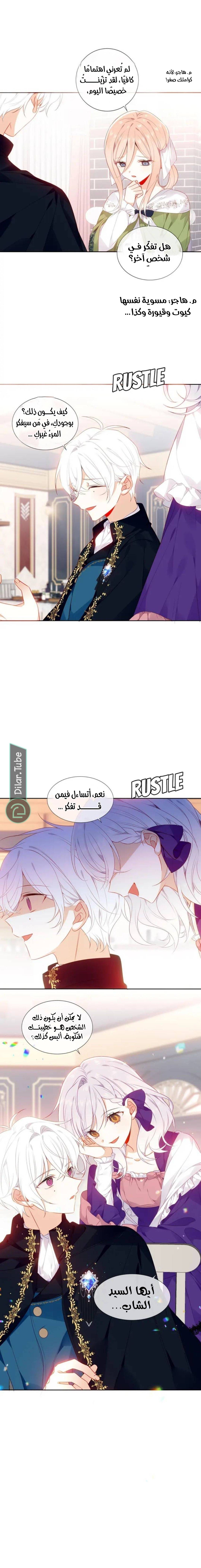 الصفحة 7