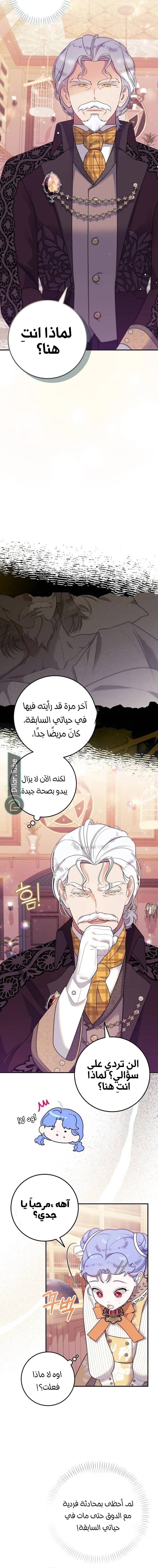 الصفحة 17