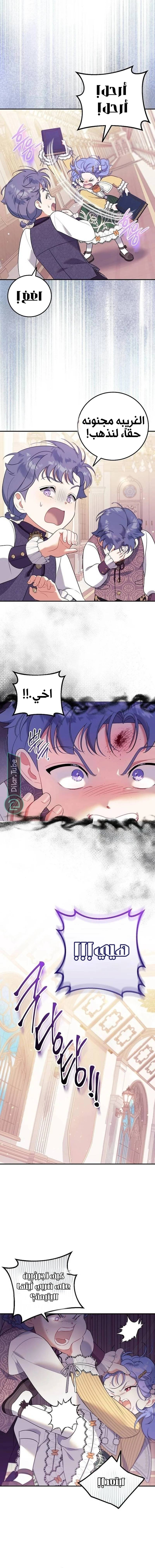 الصفحة 14