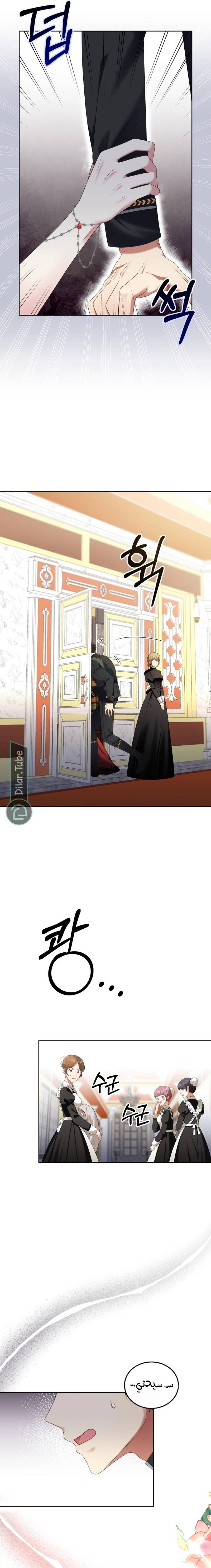 الصفحة 17