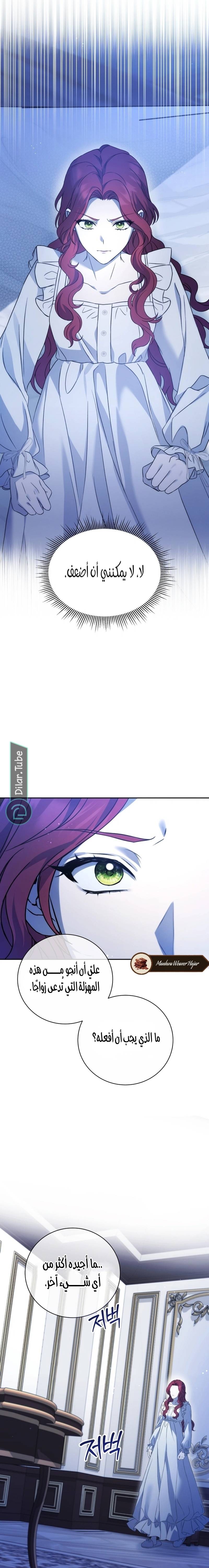 الصفحة 15