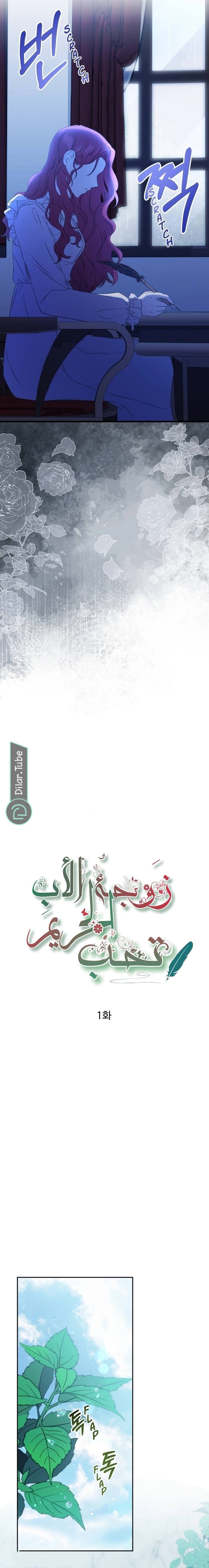 الصفحة 17