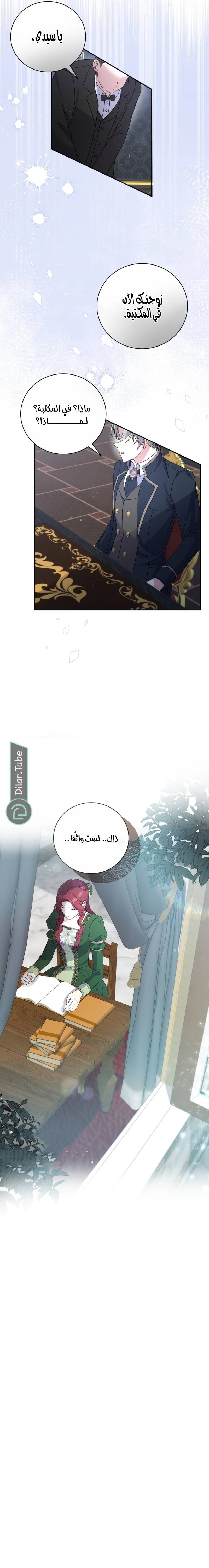 الصفحة 21