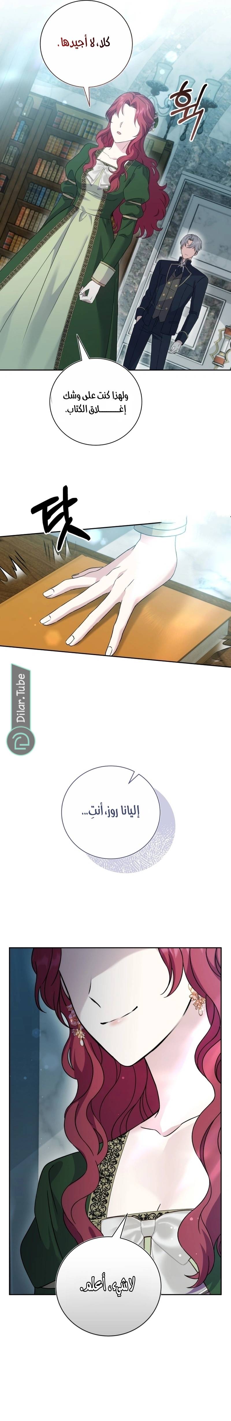 الصفحة 26