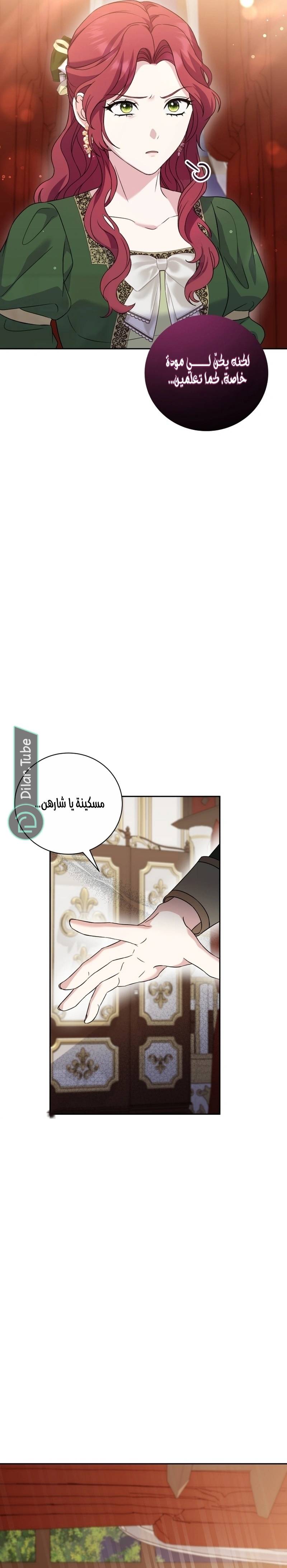 الصفحة 43