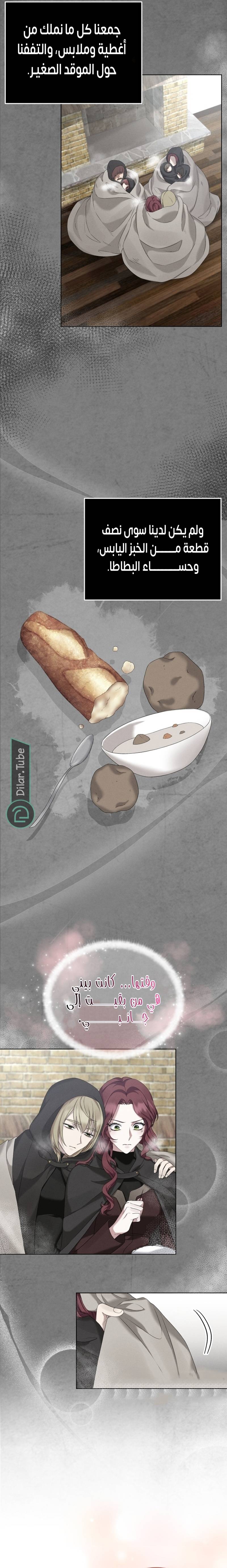 الصفحة 17