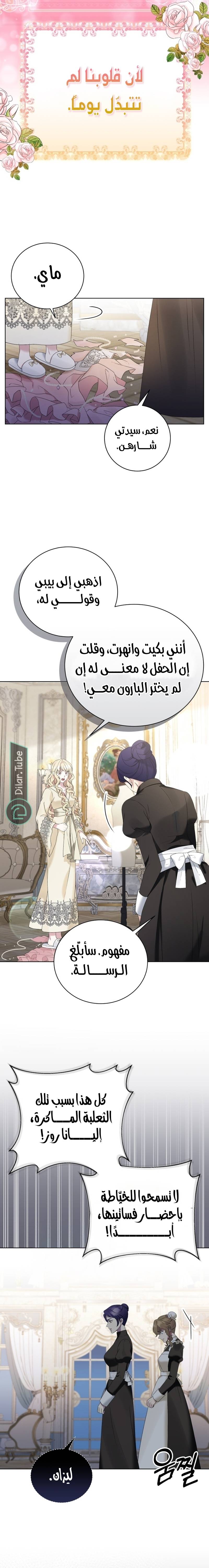 الصفحة 17
