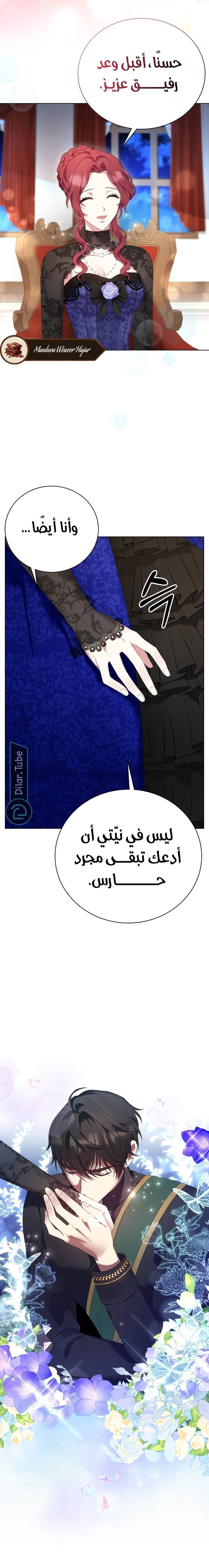 الصفحة 11