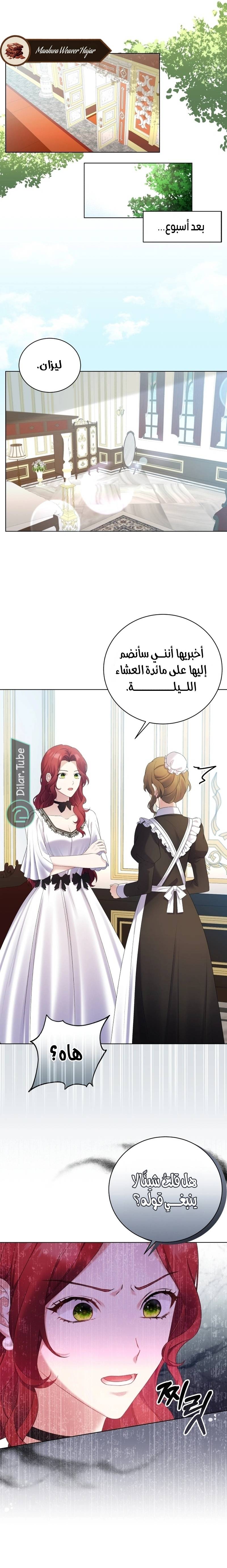 الصفحة 19