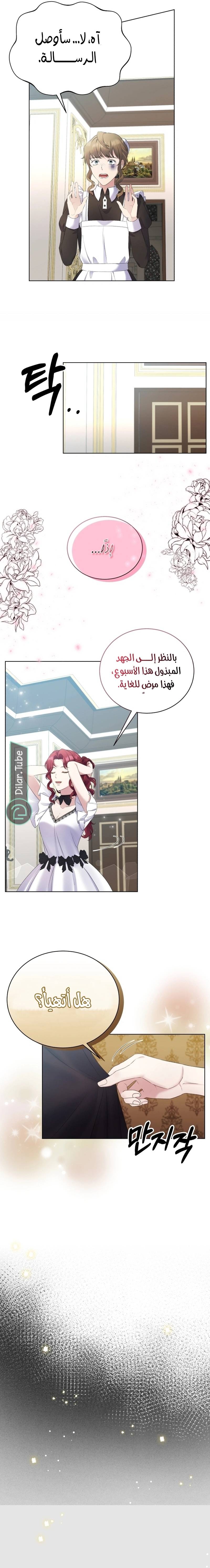الصفحة 20