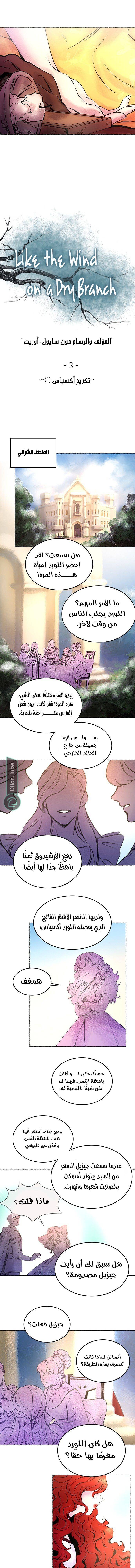 الصفحة 5