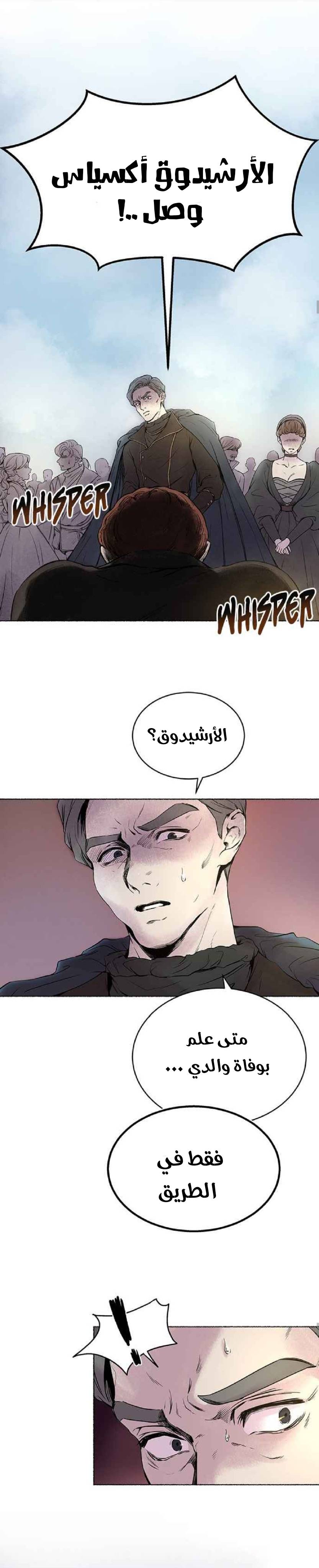 الصفحة 13