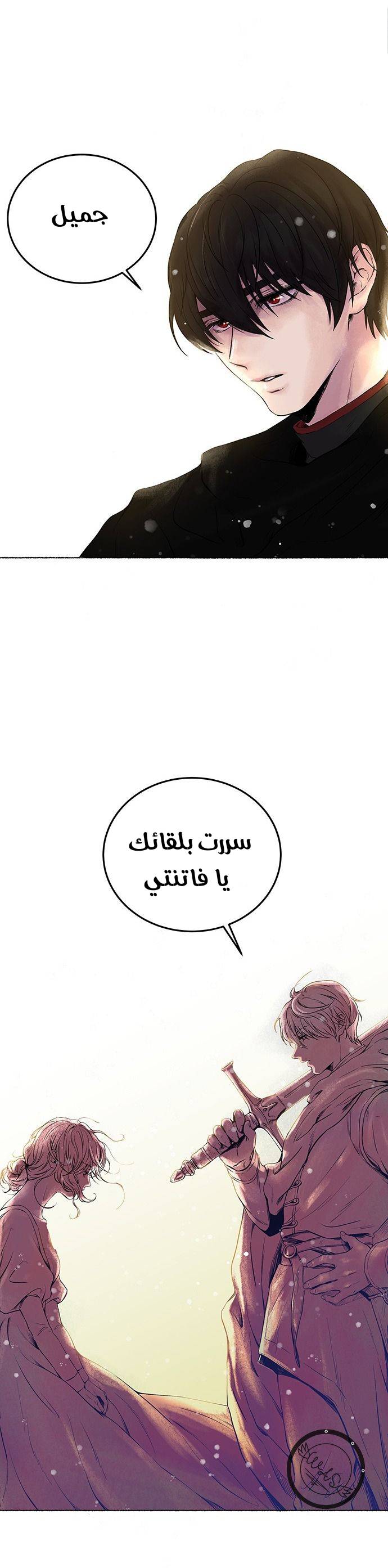 الصفحة 42