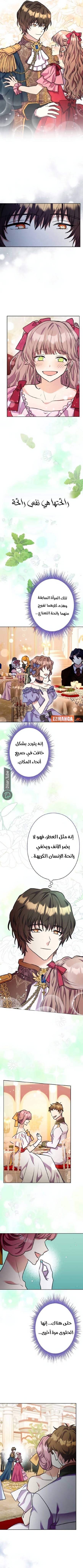 الصفحة 4