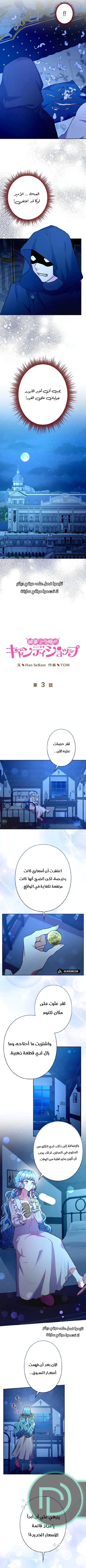 الصفحة 3