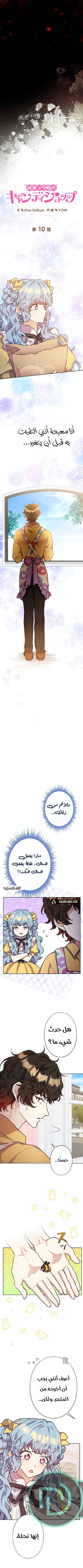 الصفحة 3