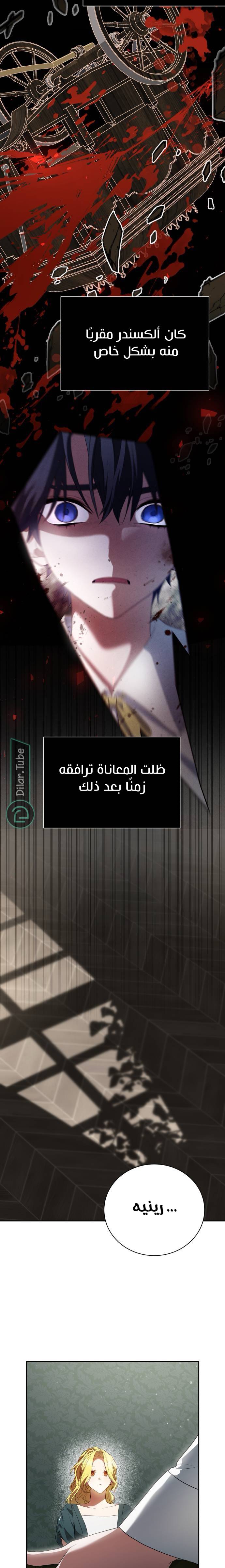 الصفحة 13