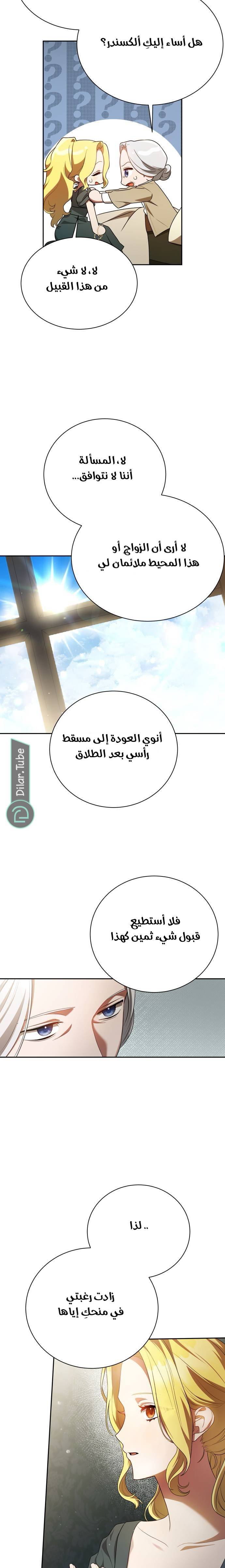 الصفحة 17
