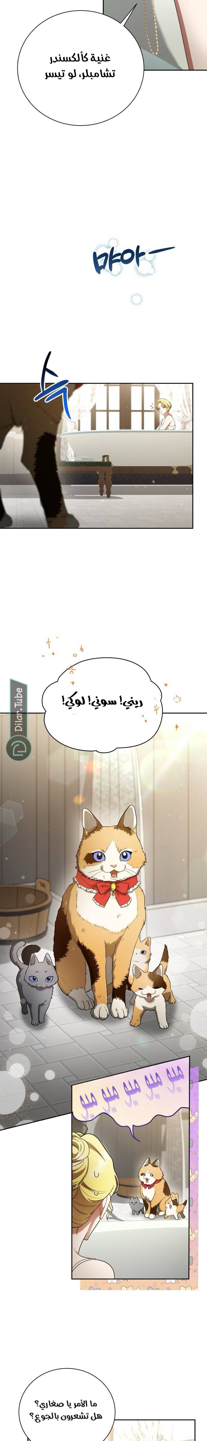 الصفحة 25