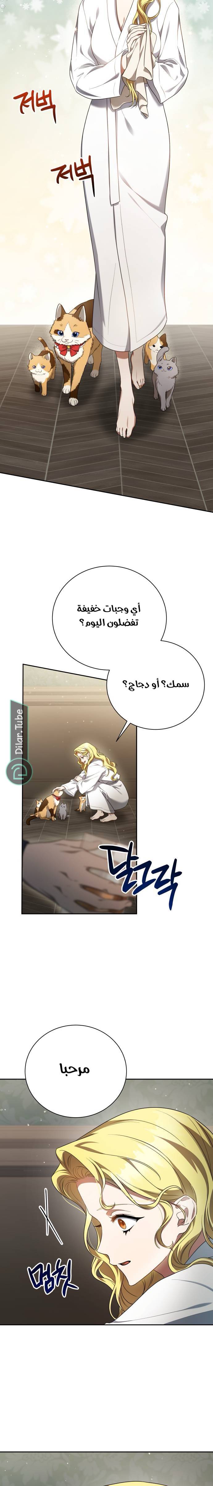الصفحة 27