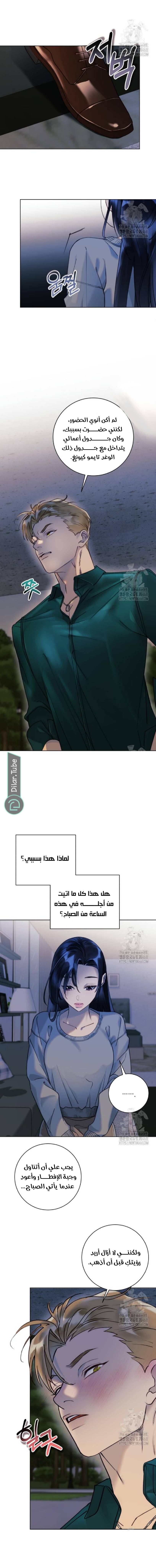 الصفحة 3