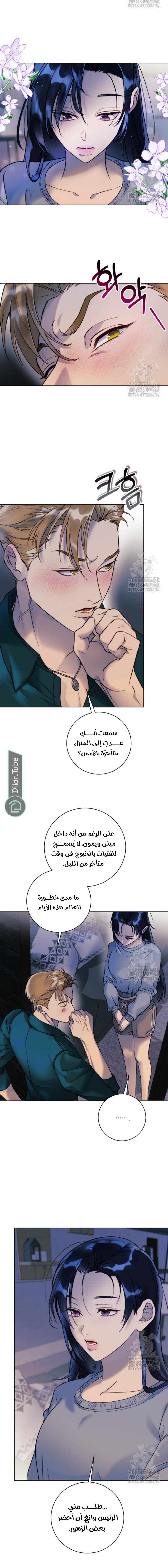 الصفحة 4