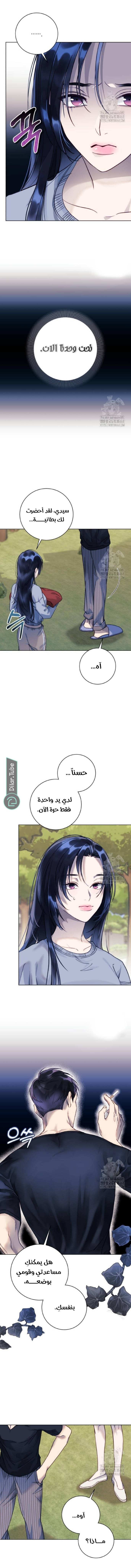 الصفحة 18