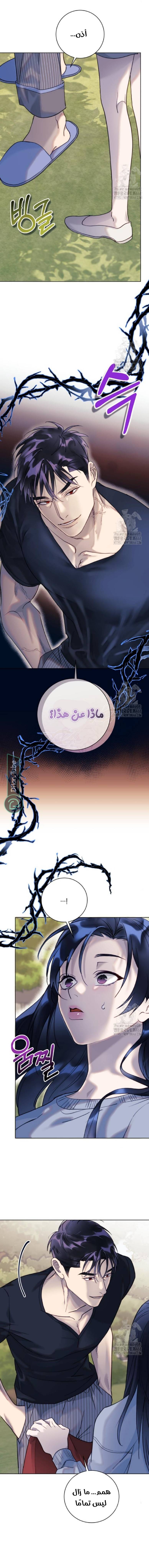 الصفحة 20