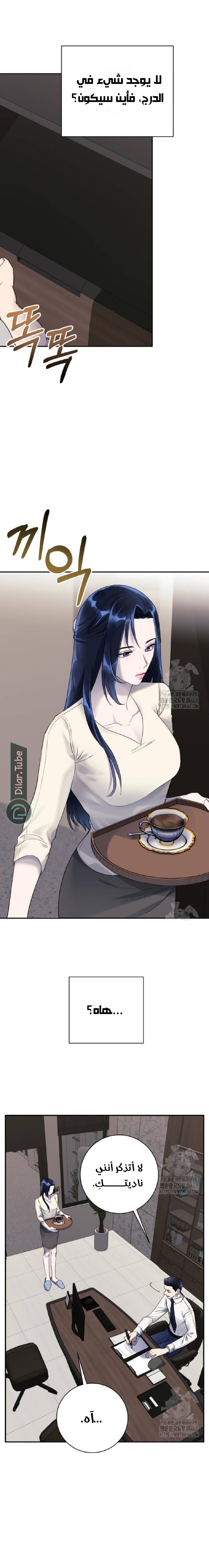 الصفحة 15