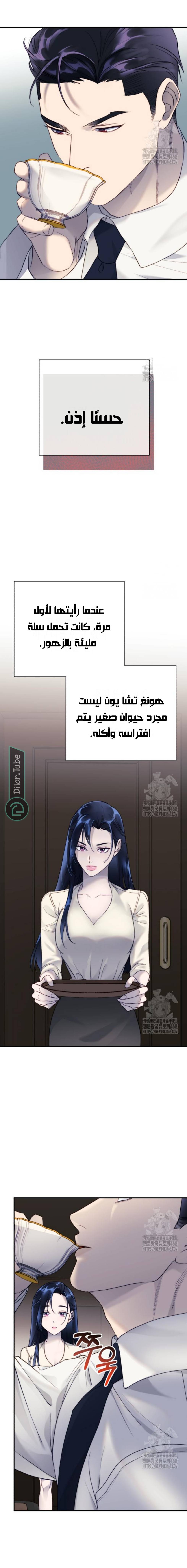 الصفحة 17