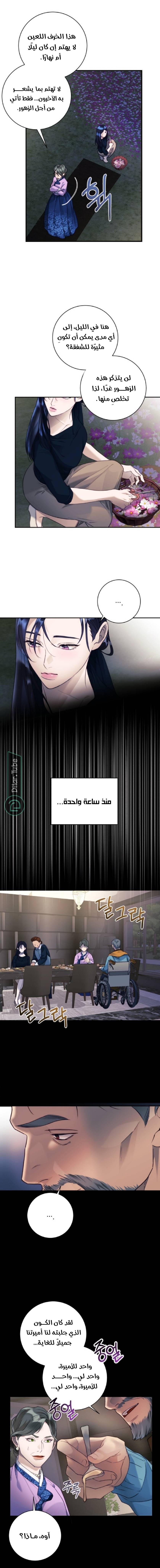 الصفحة 5