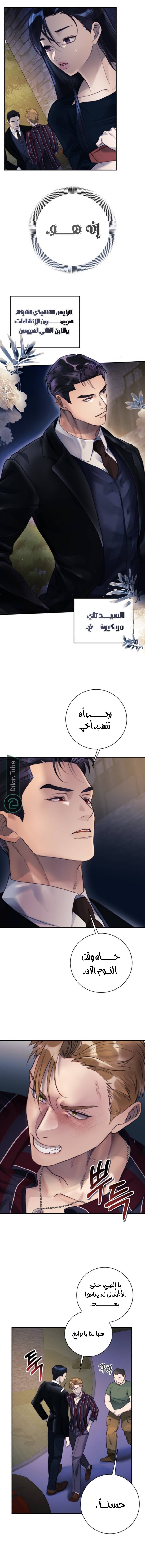 الصفحة 13