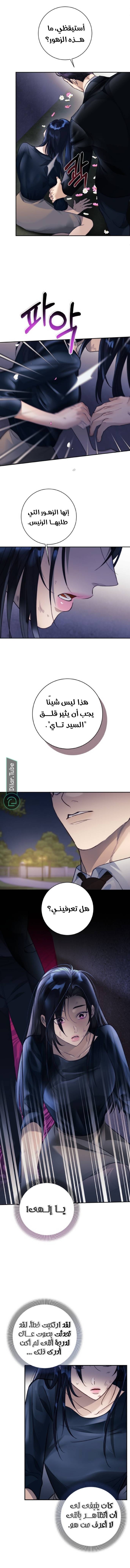 الصفحة 19