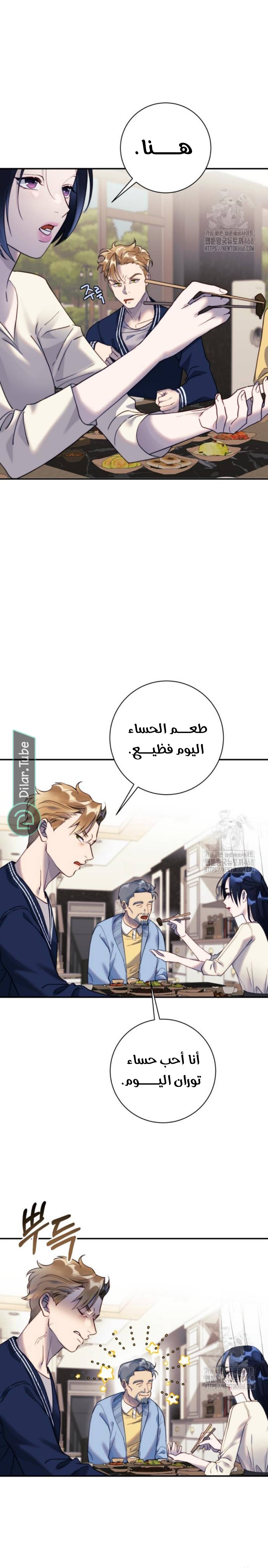الصفحة 12