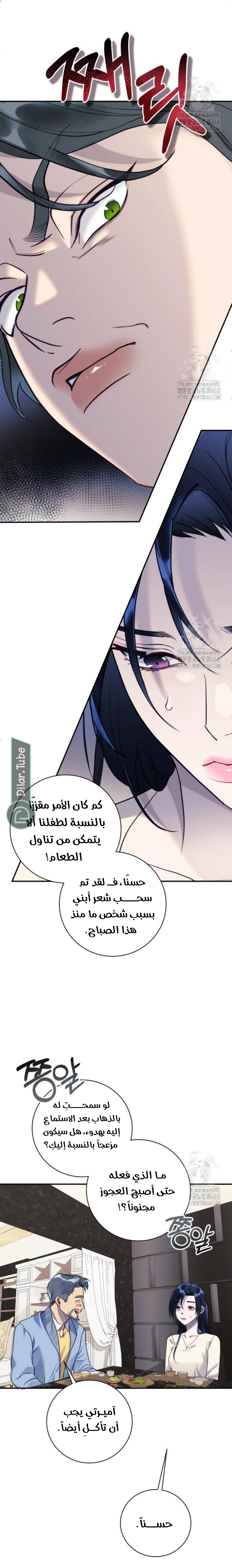 الصفحة 14