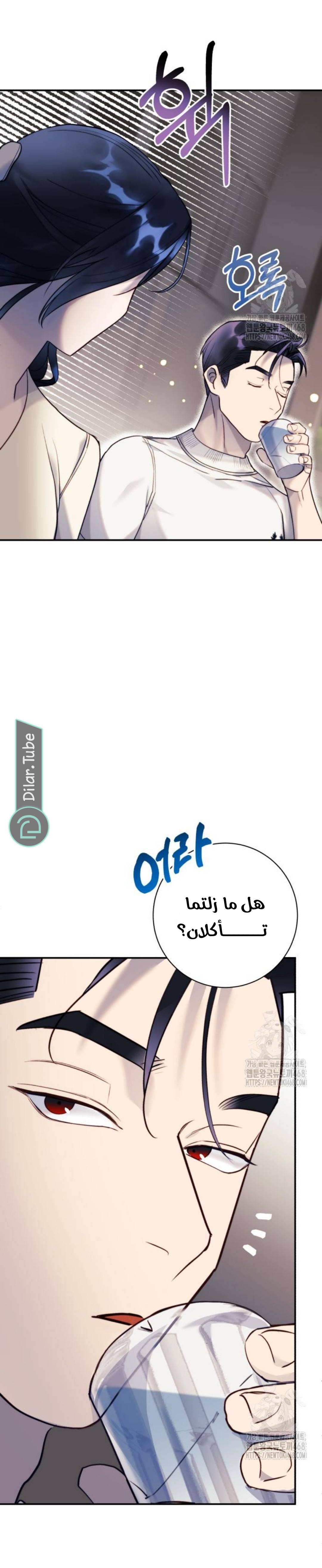 الصفحة 17