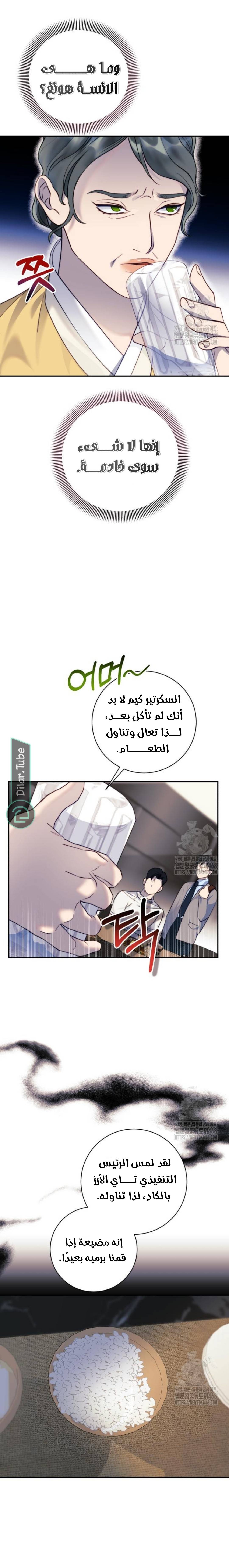 الصفحة 19