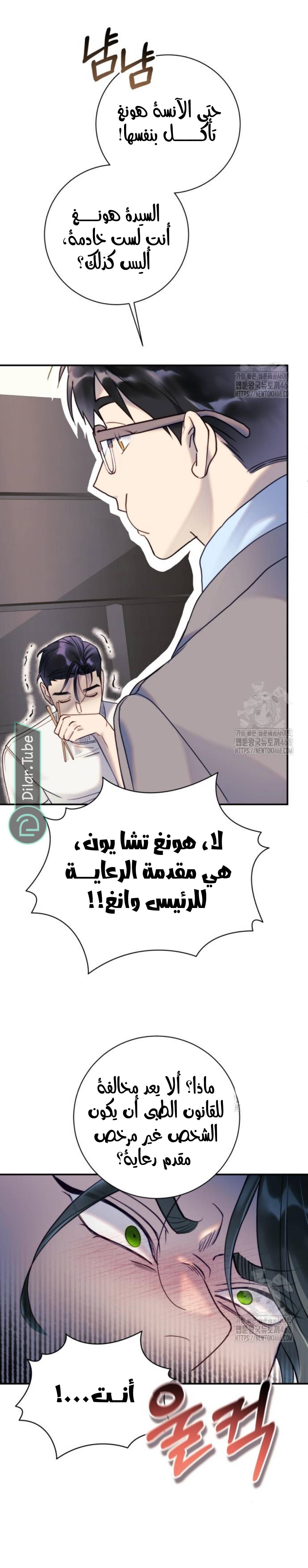 الصفحة 22