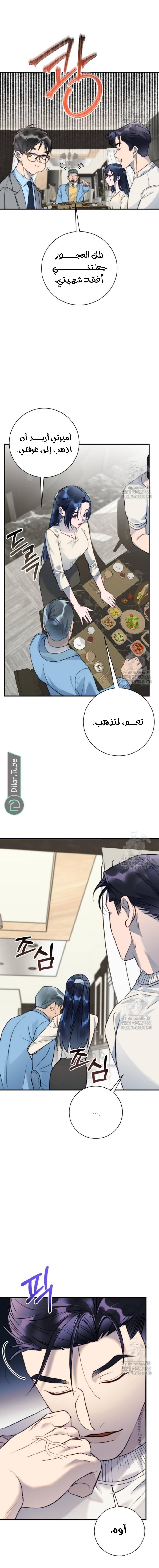 الصفحة 24