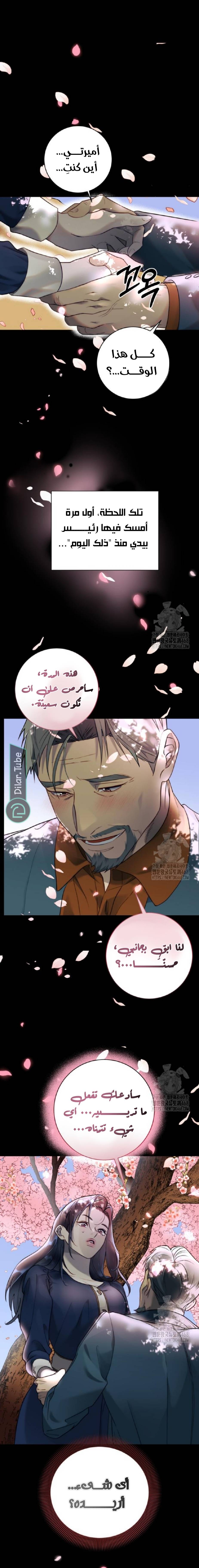 الصفحة 12