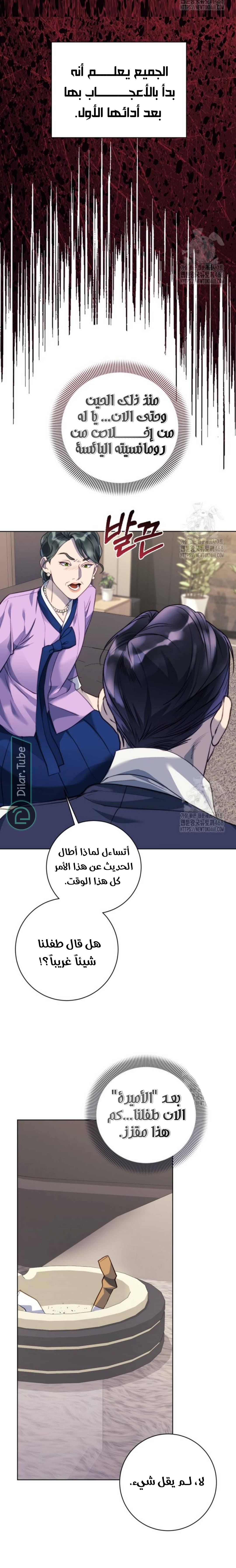 الصفحة 17