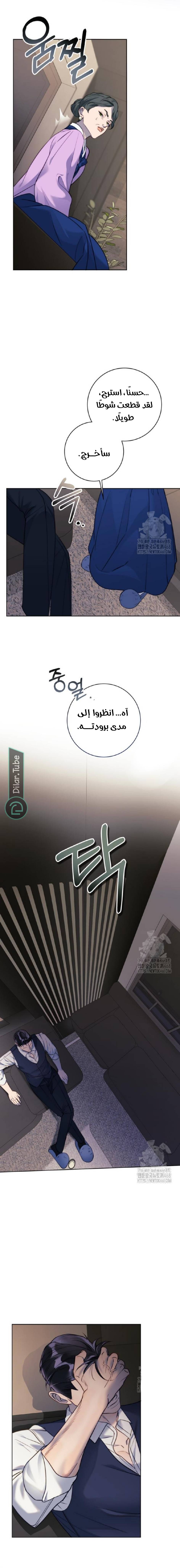 الصفحة 19