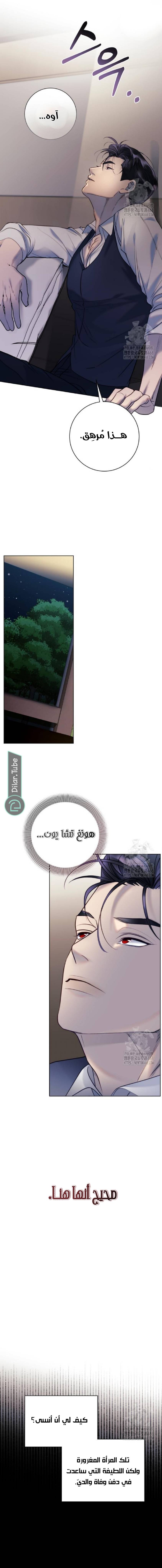 الصفحة 20