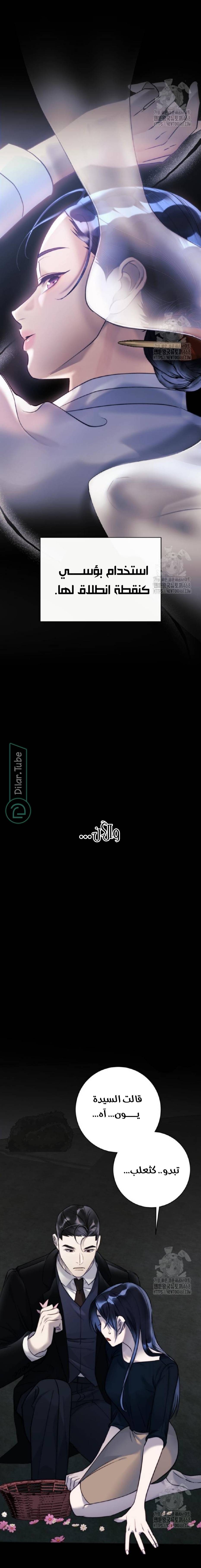 الصفحة 23