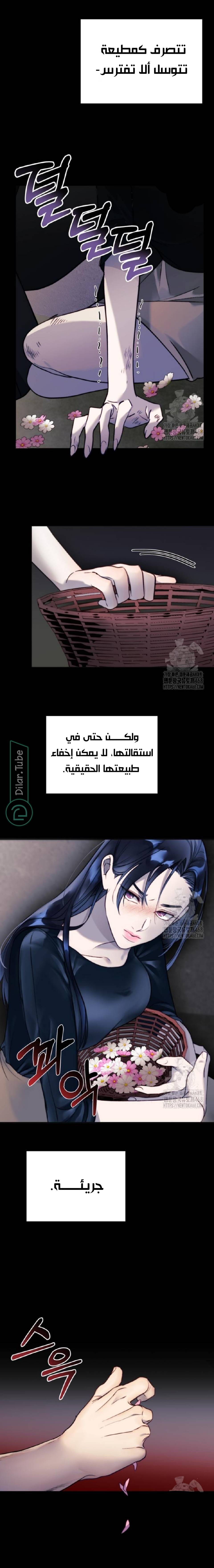 الصفحة 24