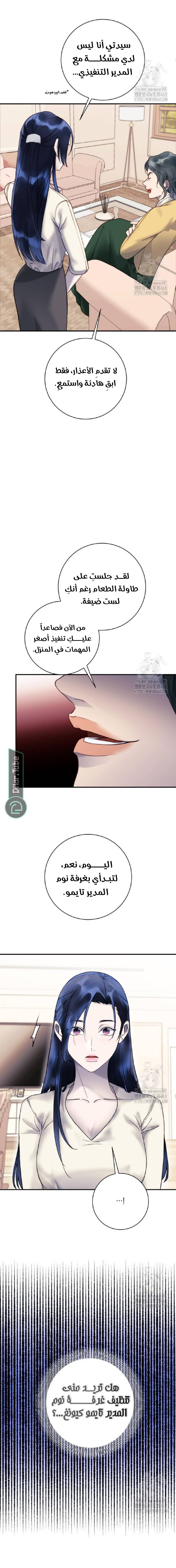 الصفحة 17