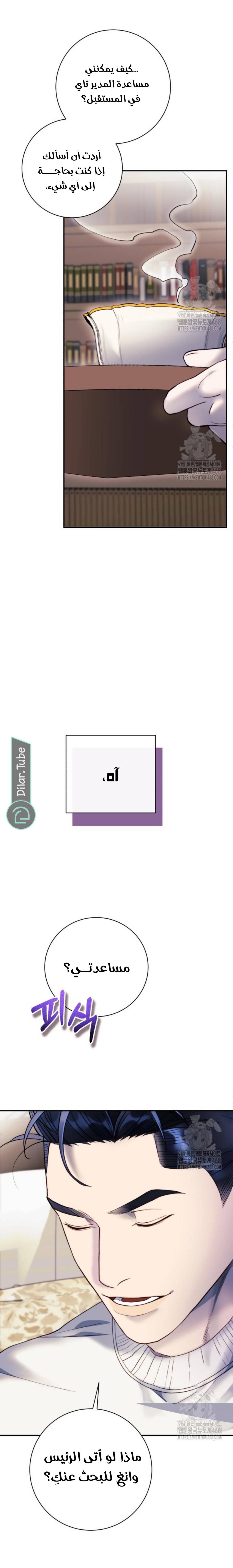 الصفحة 27