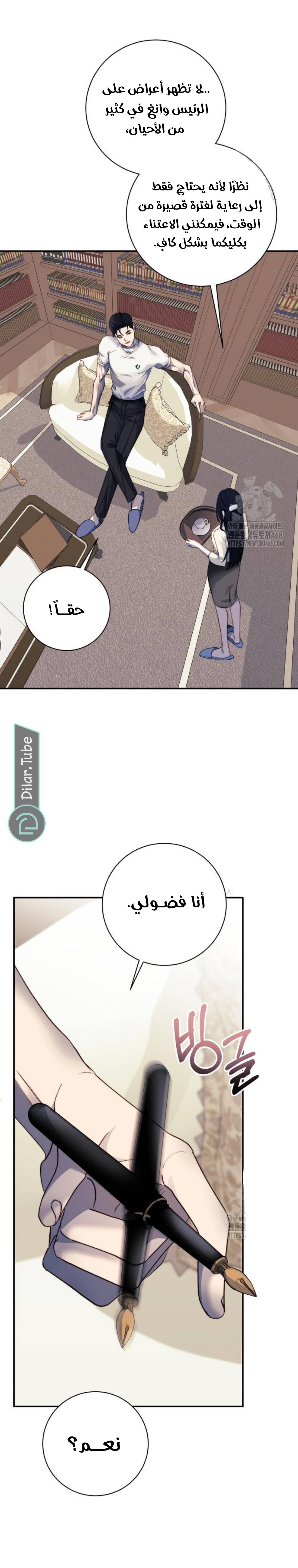 الصفحة 28