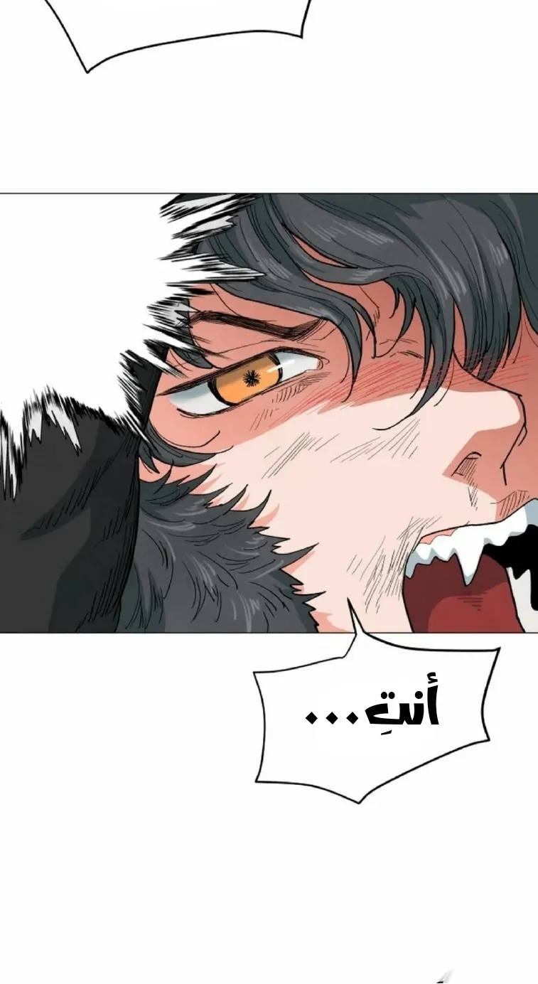 الصفحة 24