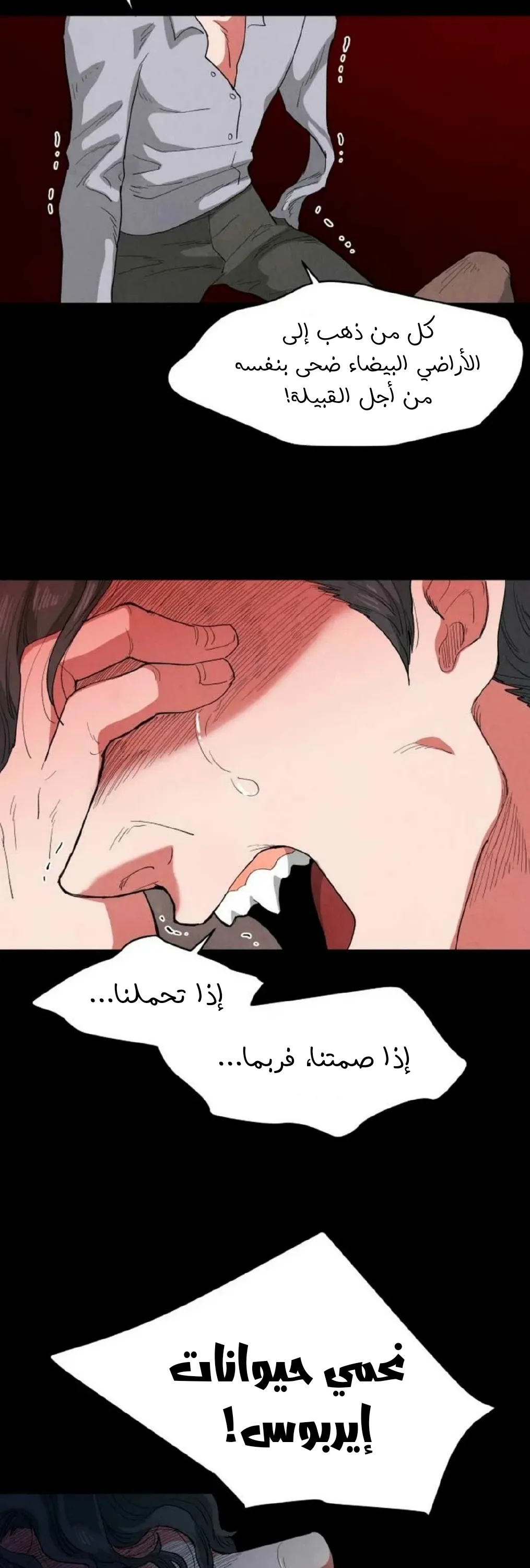 الصفحة 12